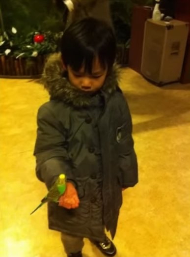 Recent activity shot of Han Yujin (ZEROBASEONE)
