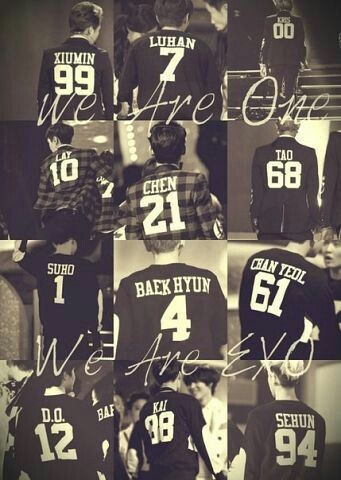 Potret di balik layar EXO