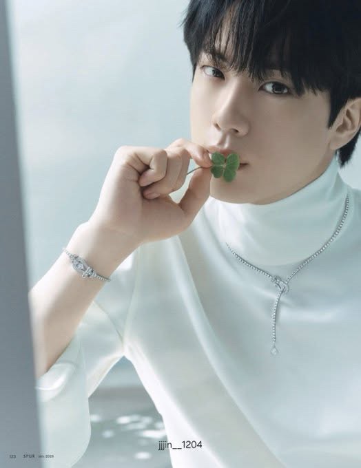 A moment captured by Jin (BTS)'s fan