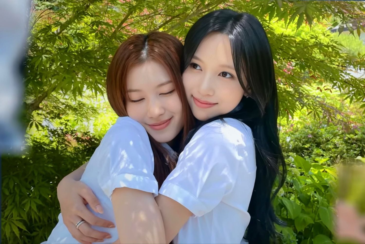 A moment captured by Mina (TWICE)'s fan