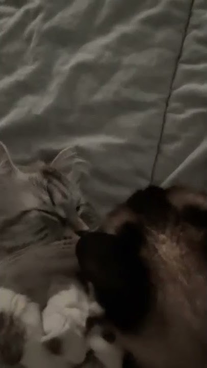 A heartfelt wallpaper shared by JAY B (GOT7)'s fans