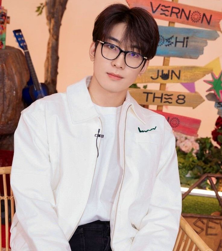 원우 (세븐틴) 팬이 찍은 순간