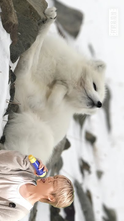 iKON 팬이 찍은 순간