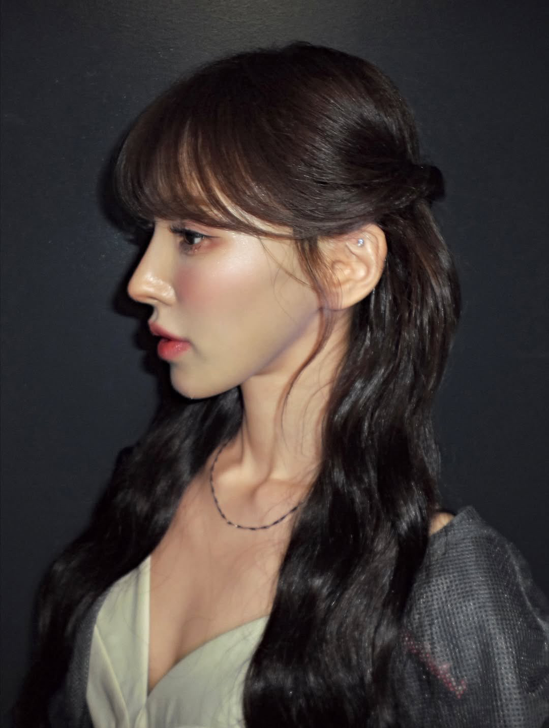 레드벨벳 팬이 찍은 순간