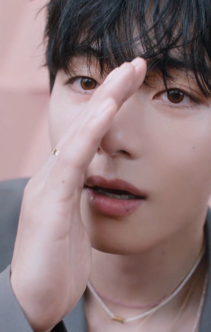 Behind-the-scenes cut of V (BTS)