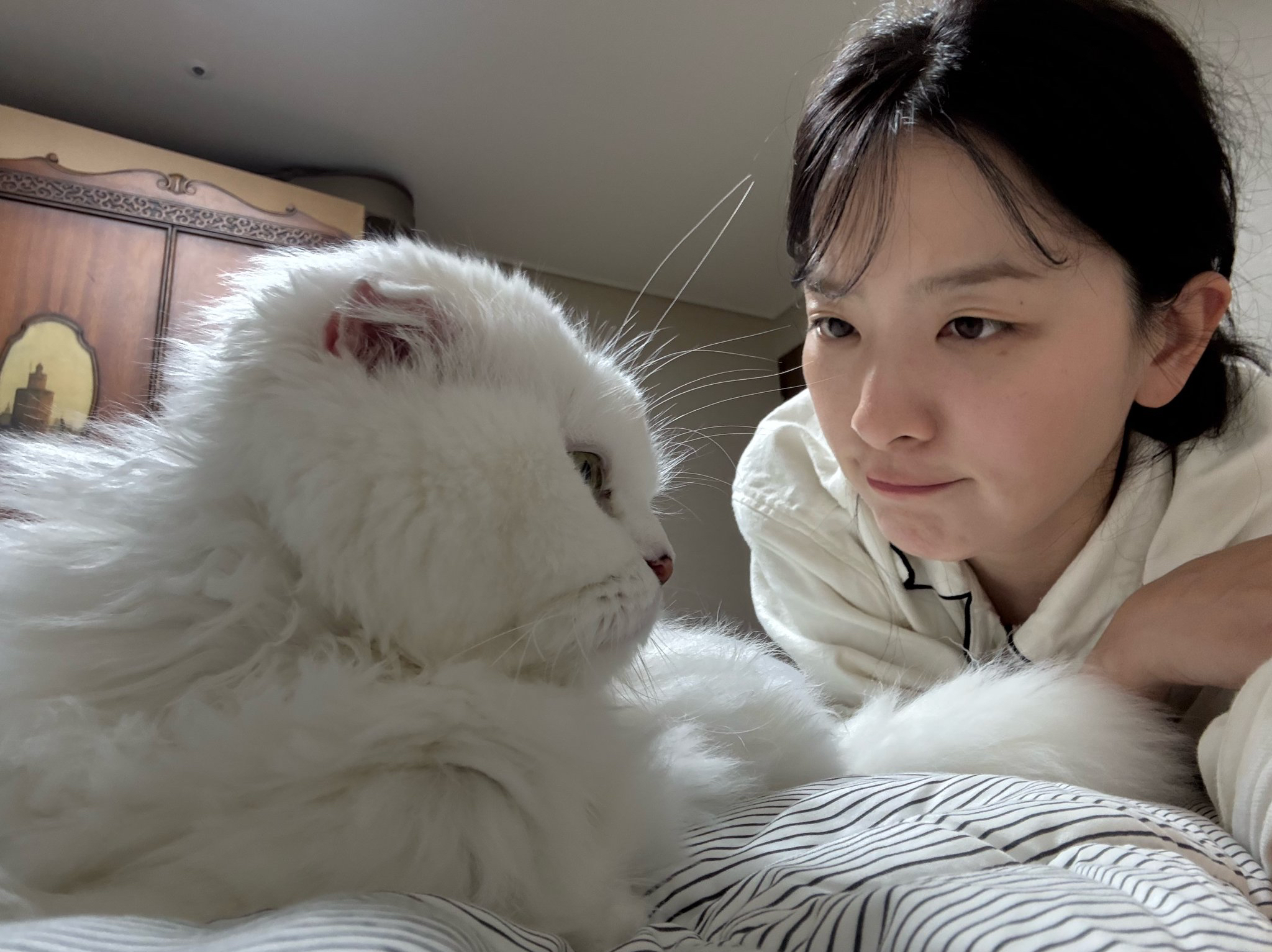 Red Velvet的最新照片