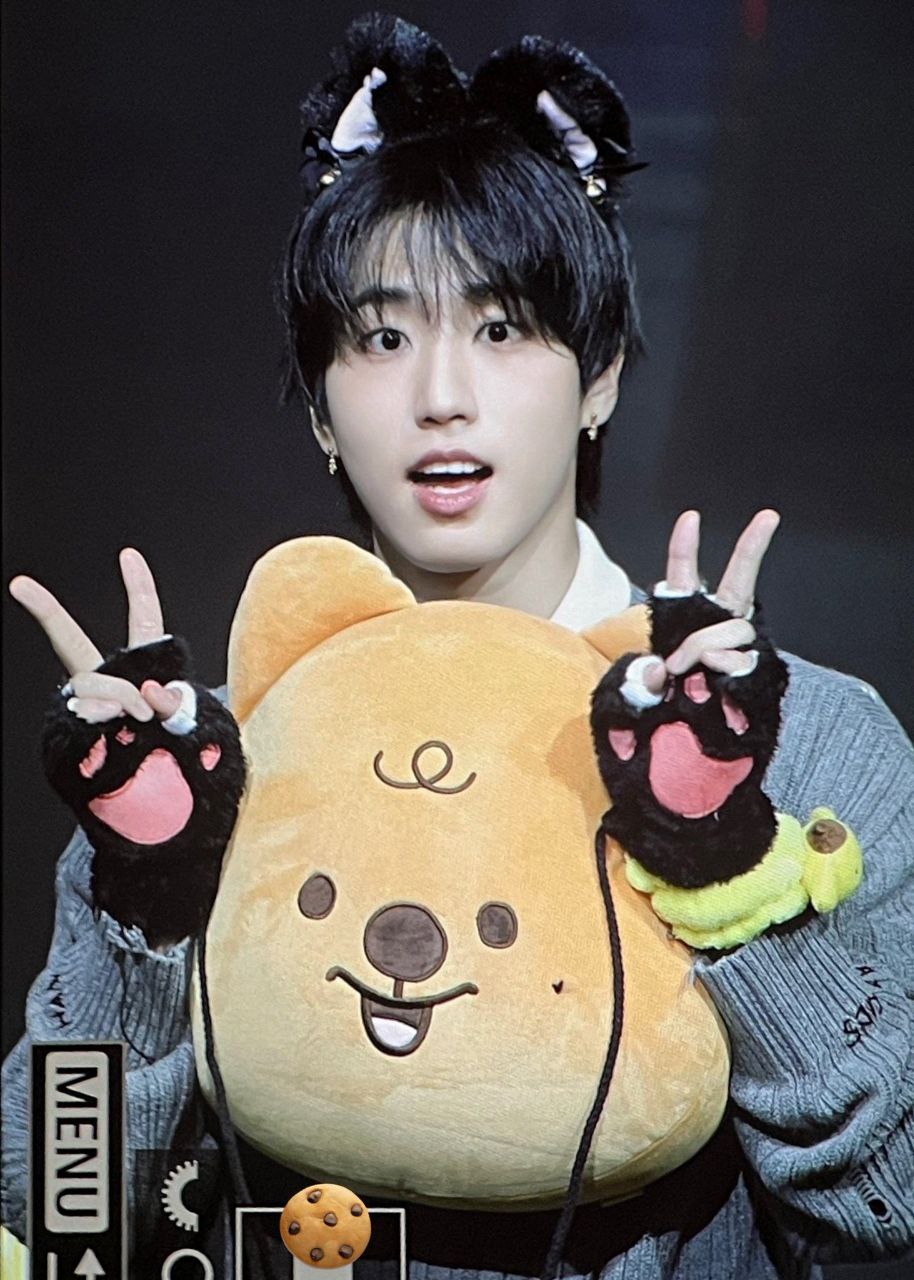 Recent activity shot of HAN (Stray Kids)