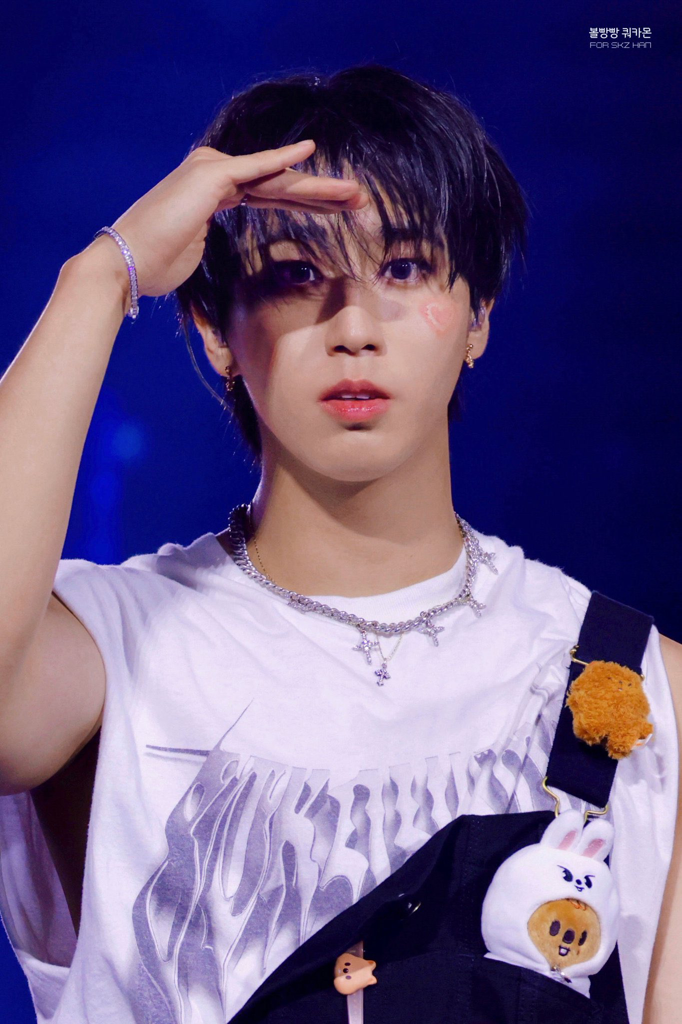 A moment captured by HAN (Stray Kids)'s fan