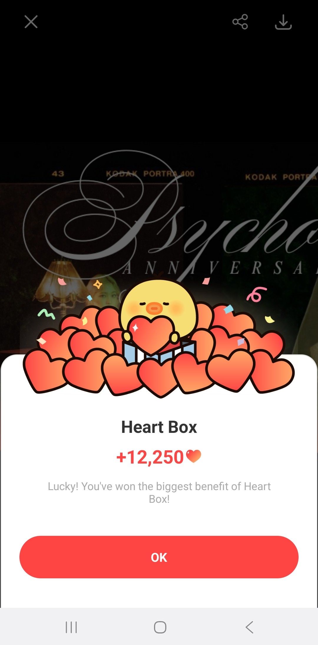 Recent activity shot of Yeri (Red Velvet)