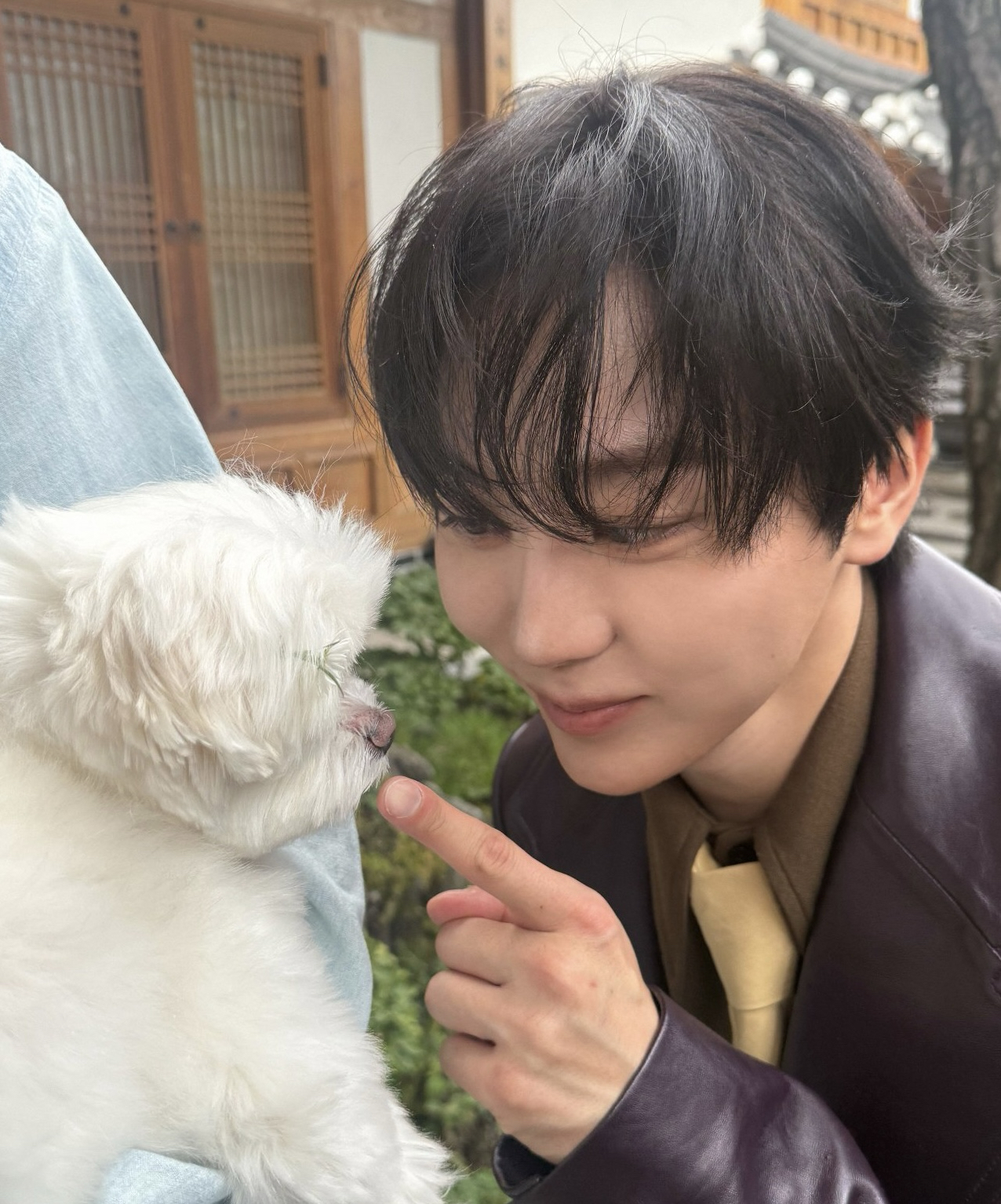 A moment captured by Seungkwan (SEVENTEEN)'s fan