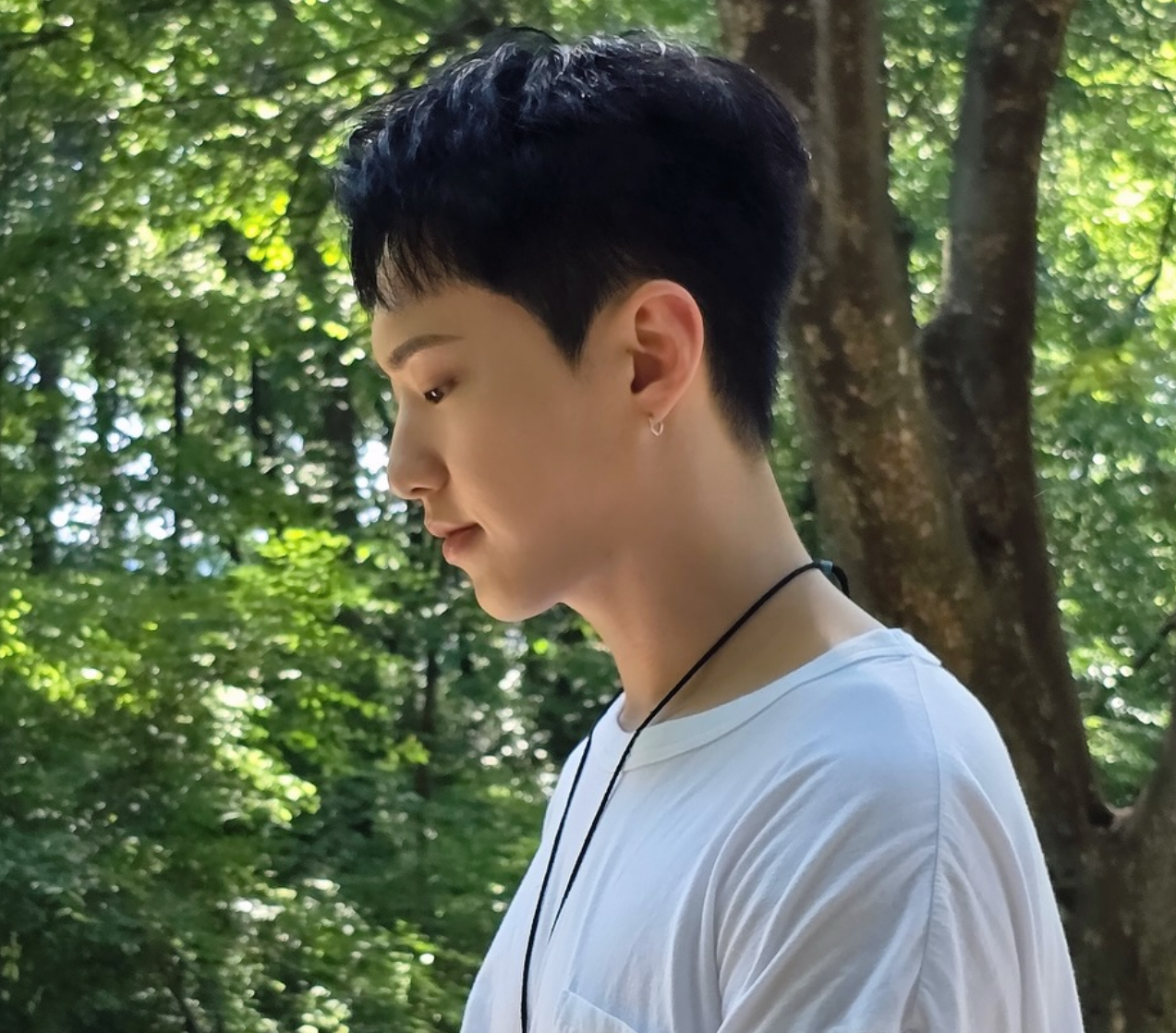 A moment captured by Hoshi (SEVENTEEN)'s fan