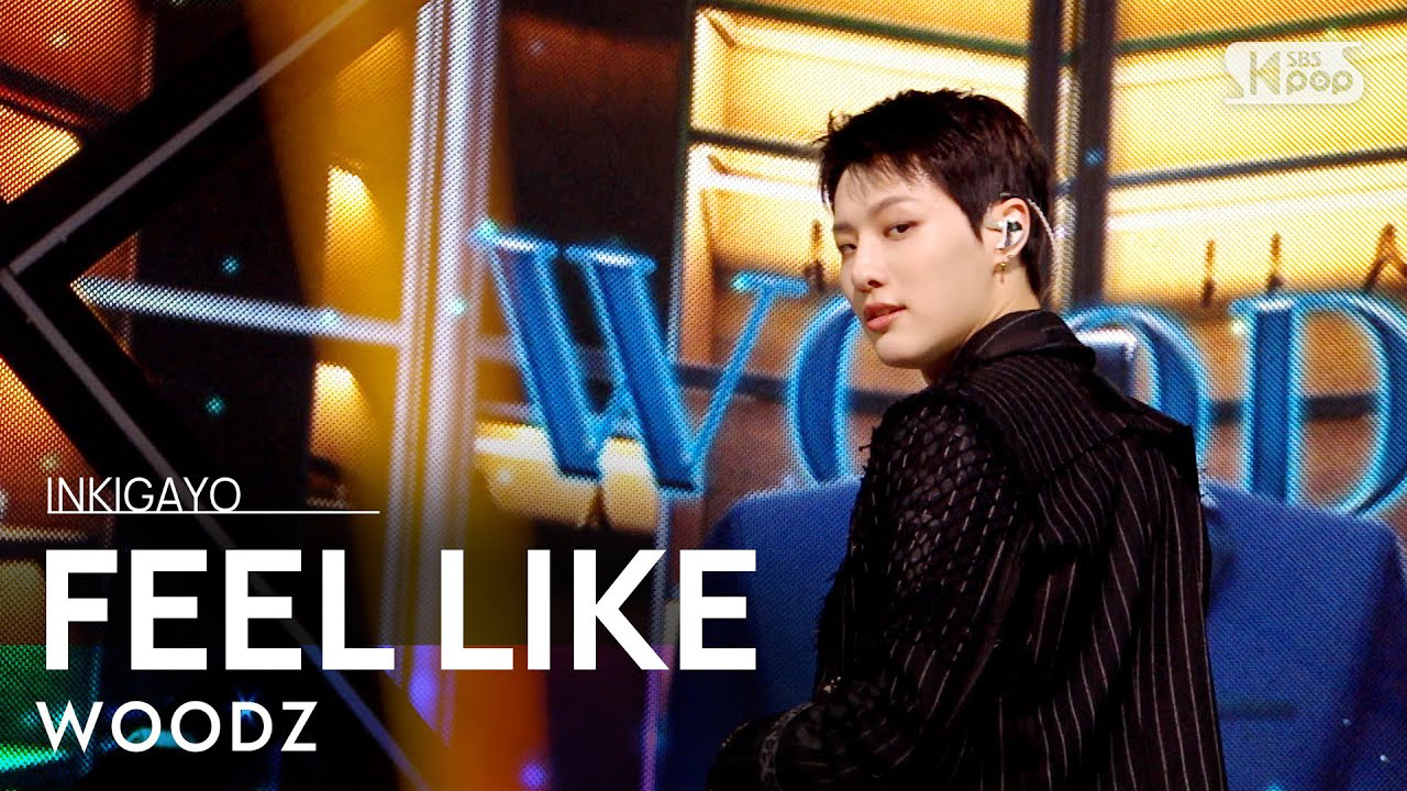 A moment captured by WOODZ's fan