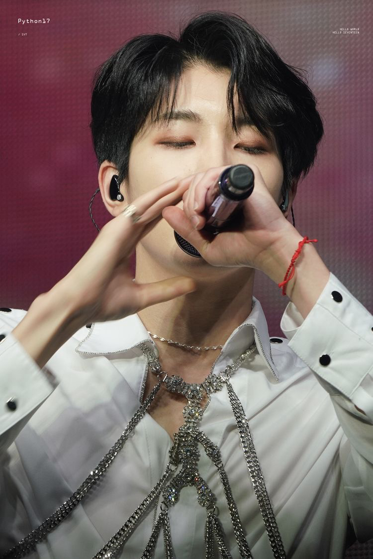 Recent activity shot of Wonwoo (SEVENTEEN)