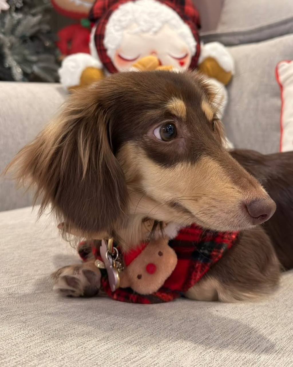 Recent activity shot of Lisa (BLACKPINK)