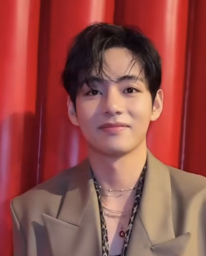 V (BTS)ファンが撮った瞬間