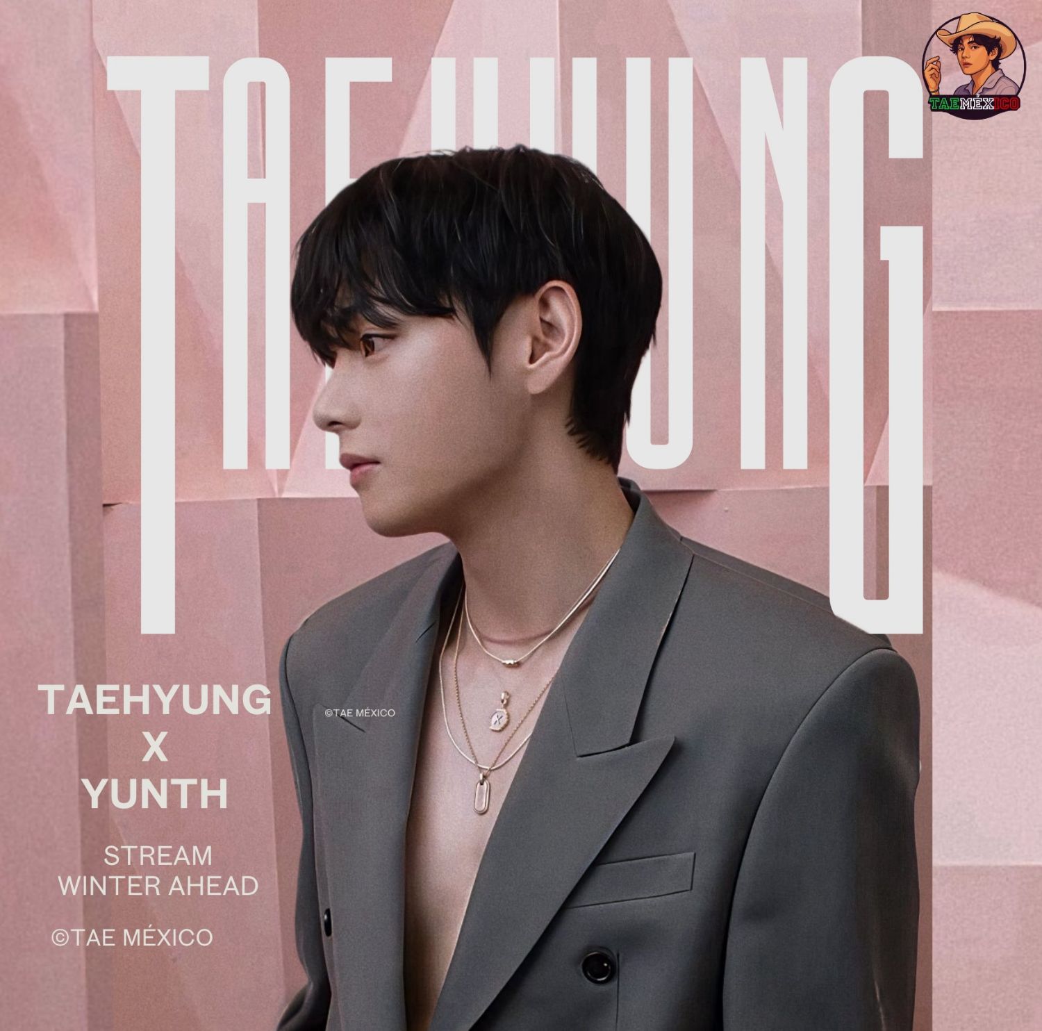 Behind-the-scenes cut of V (BTS)