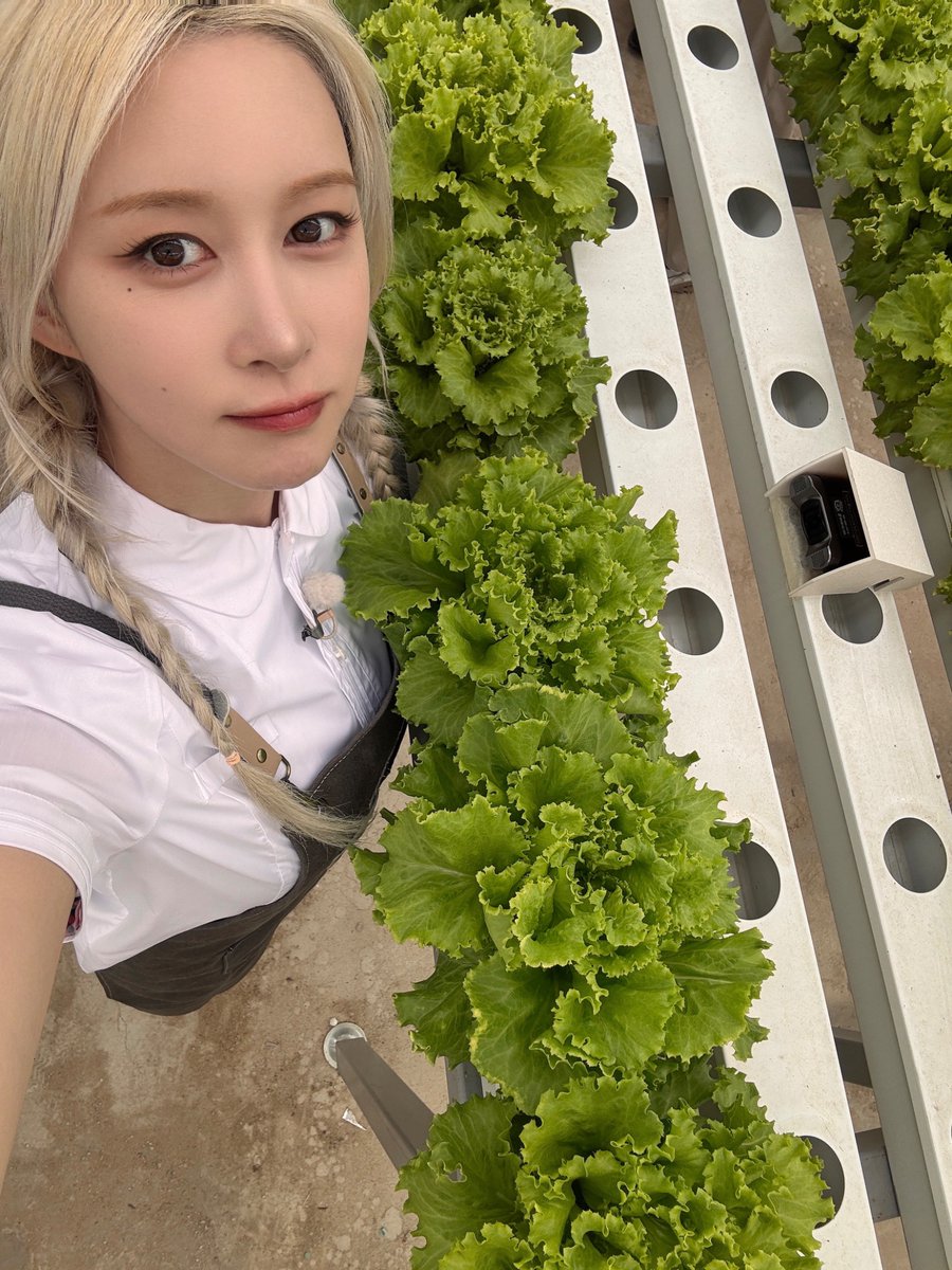 A moment captured by WJSN's fan