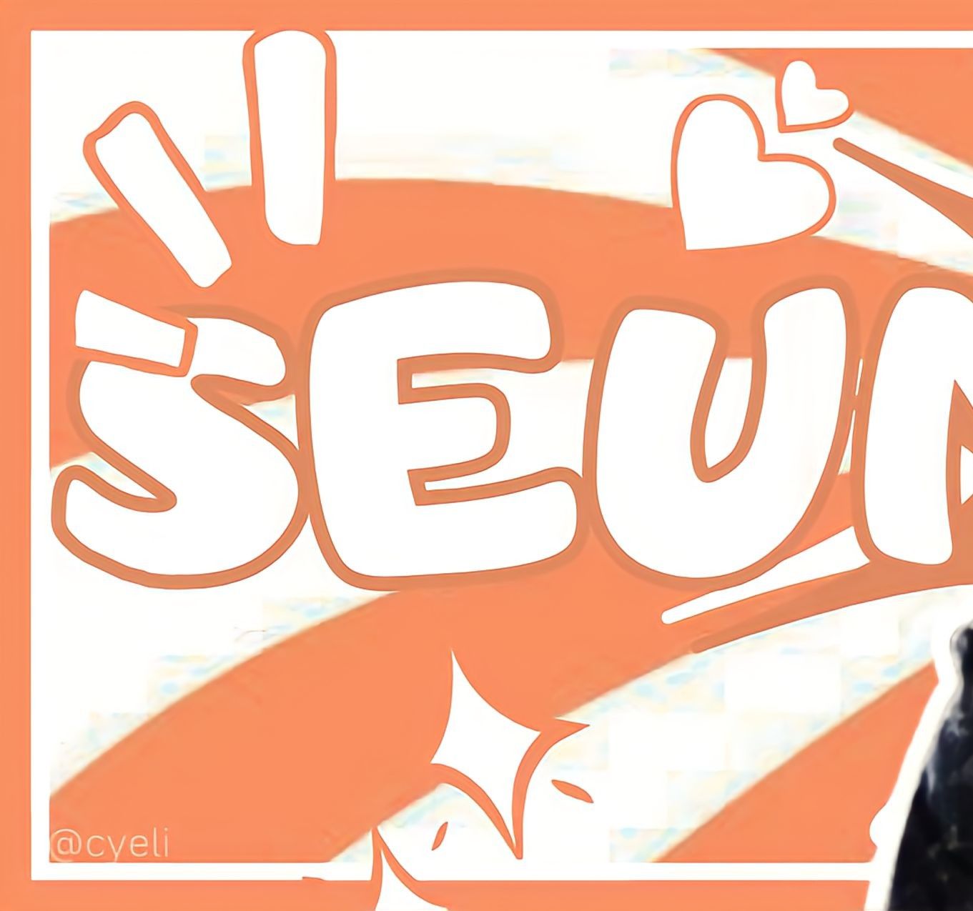 SEVENTEEN粉絲拍下的瞬間