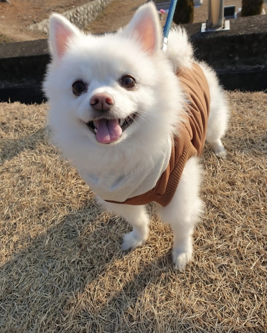 Behind-the-scenes cut of Ravn