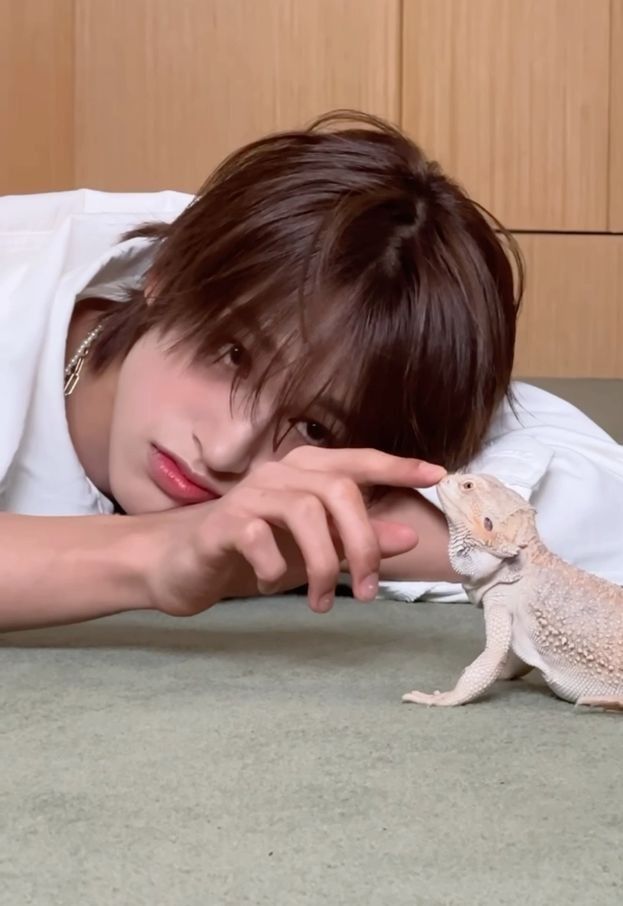 Recent activity shot of Seita (NEXZ)