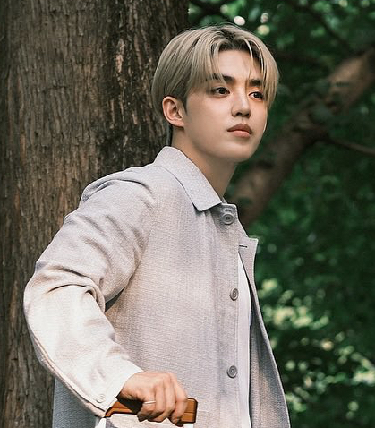 A moment captured by S.Coups (SEVENTEEN)'s fan