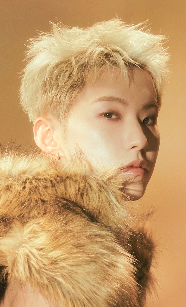 A moment captured by Hoshi (SEVENTEEN)'s fan