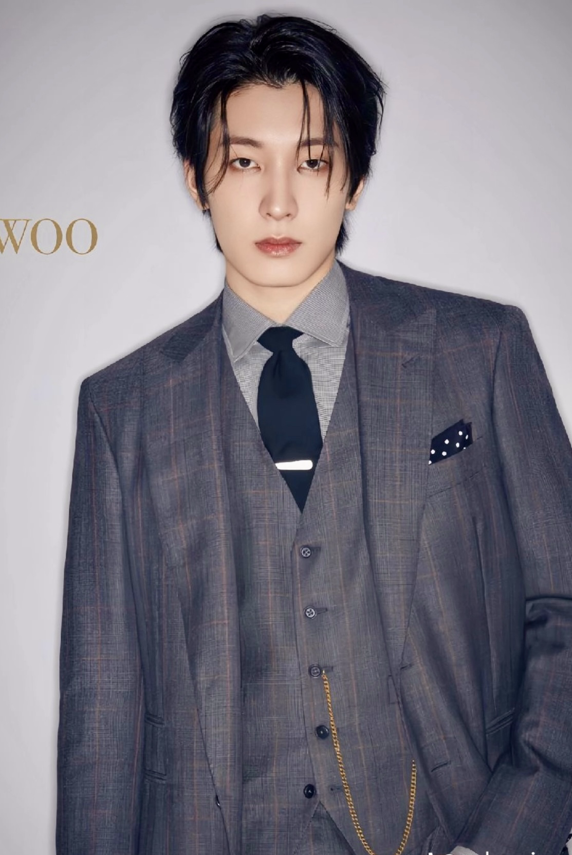 Recent activity shot of Wonwoo (SEVENTEEN)