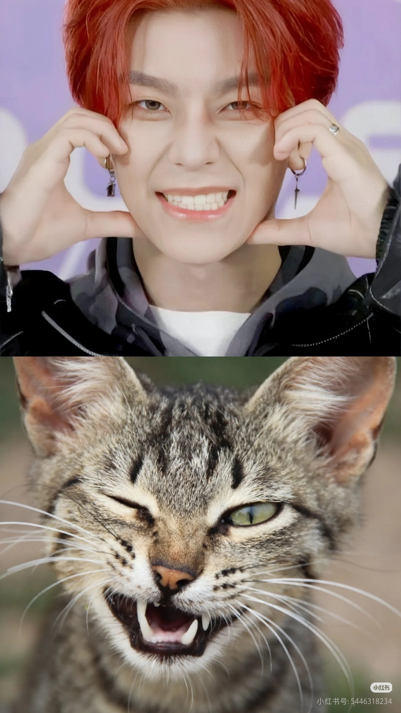 허씬롱 (보이스토리)의 최신 사진