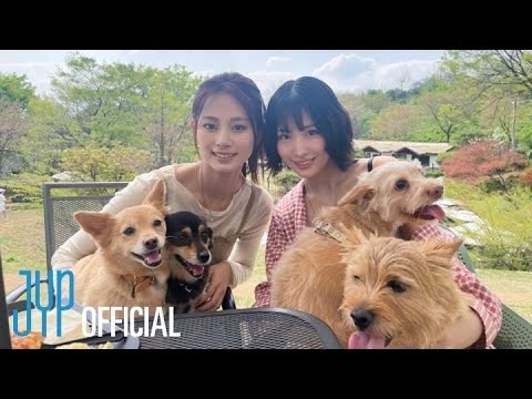 Recent activity shot of Momo (TWICE)