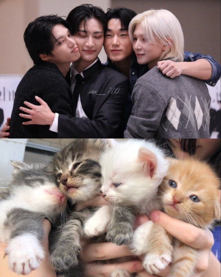 에이티즈 팬이 찍은 순간