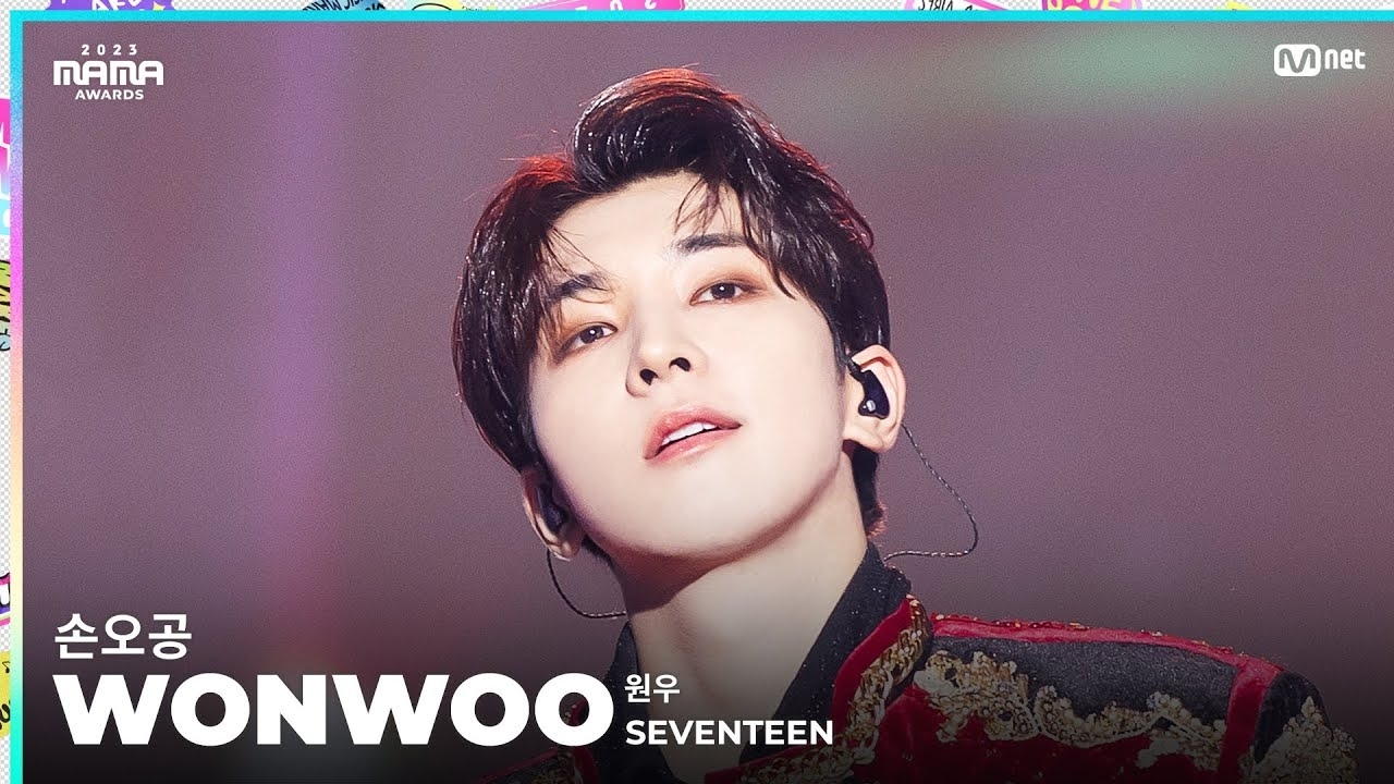 Recent activity shot of Wonwoo (SEVENTEEN)
