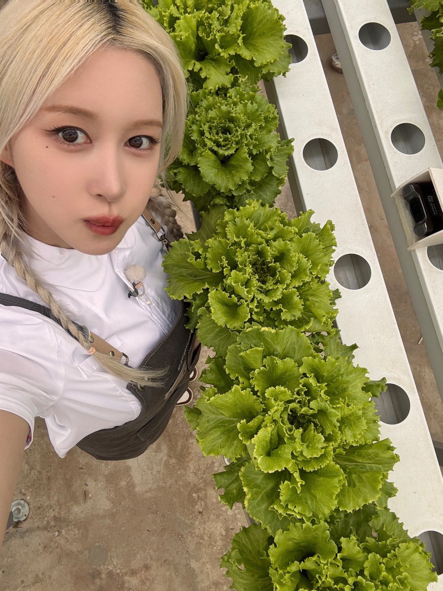 Behind-the-scenes cut of WJSN