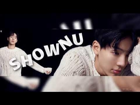 셔누 (몬스타엑스) 팬이 찍은 순간