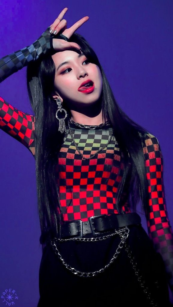 TWICE 팬이 찍은 순간