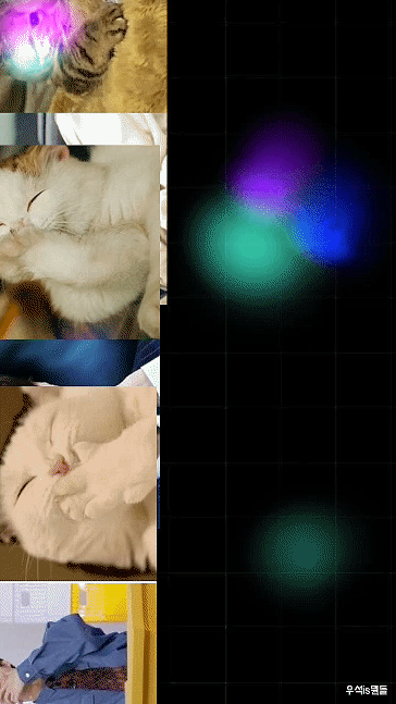 김우석 팬이 찍은 순간