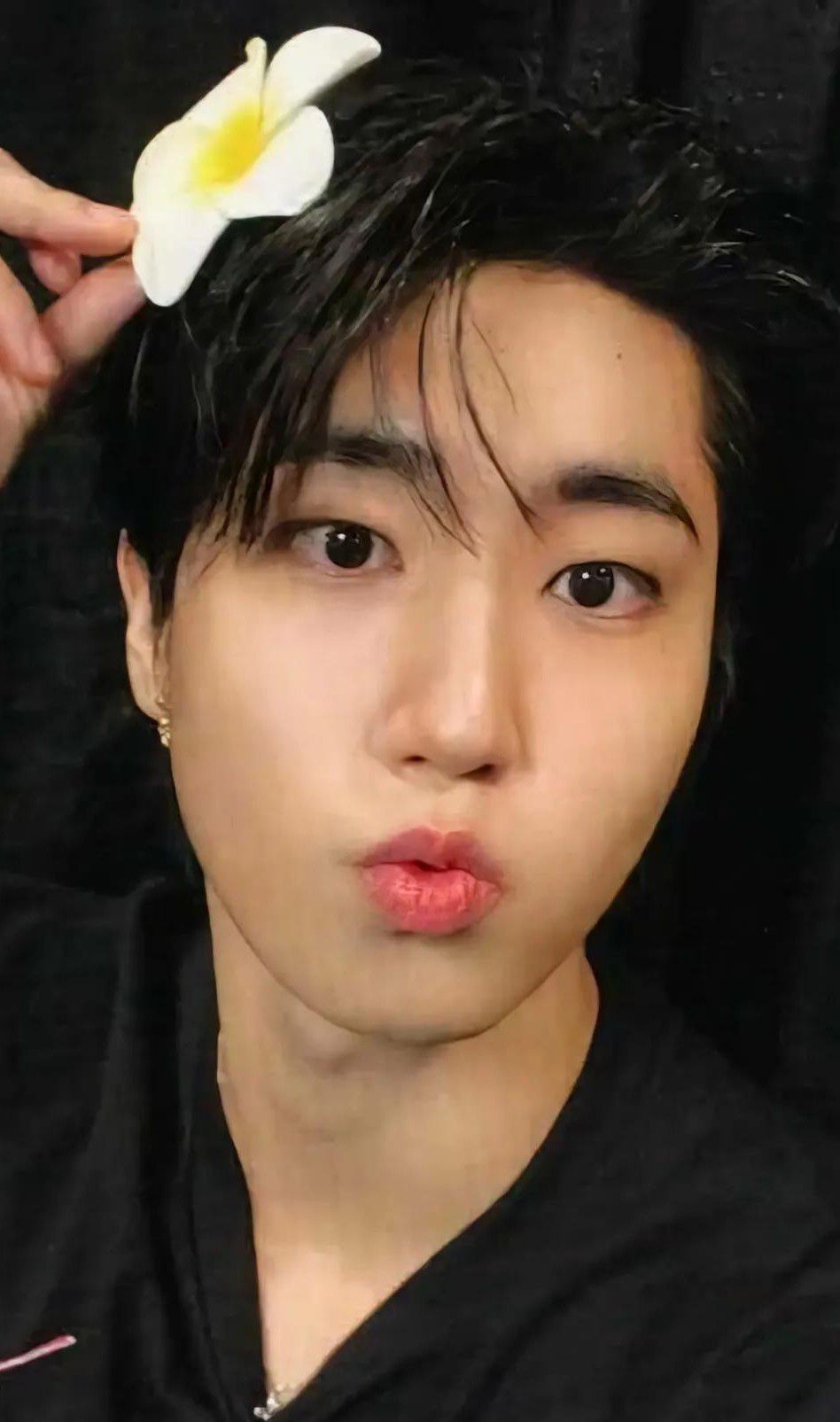 The most beloved wallpaper among HAN (Stray Kids)'s fans
