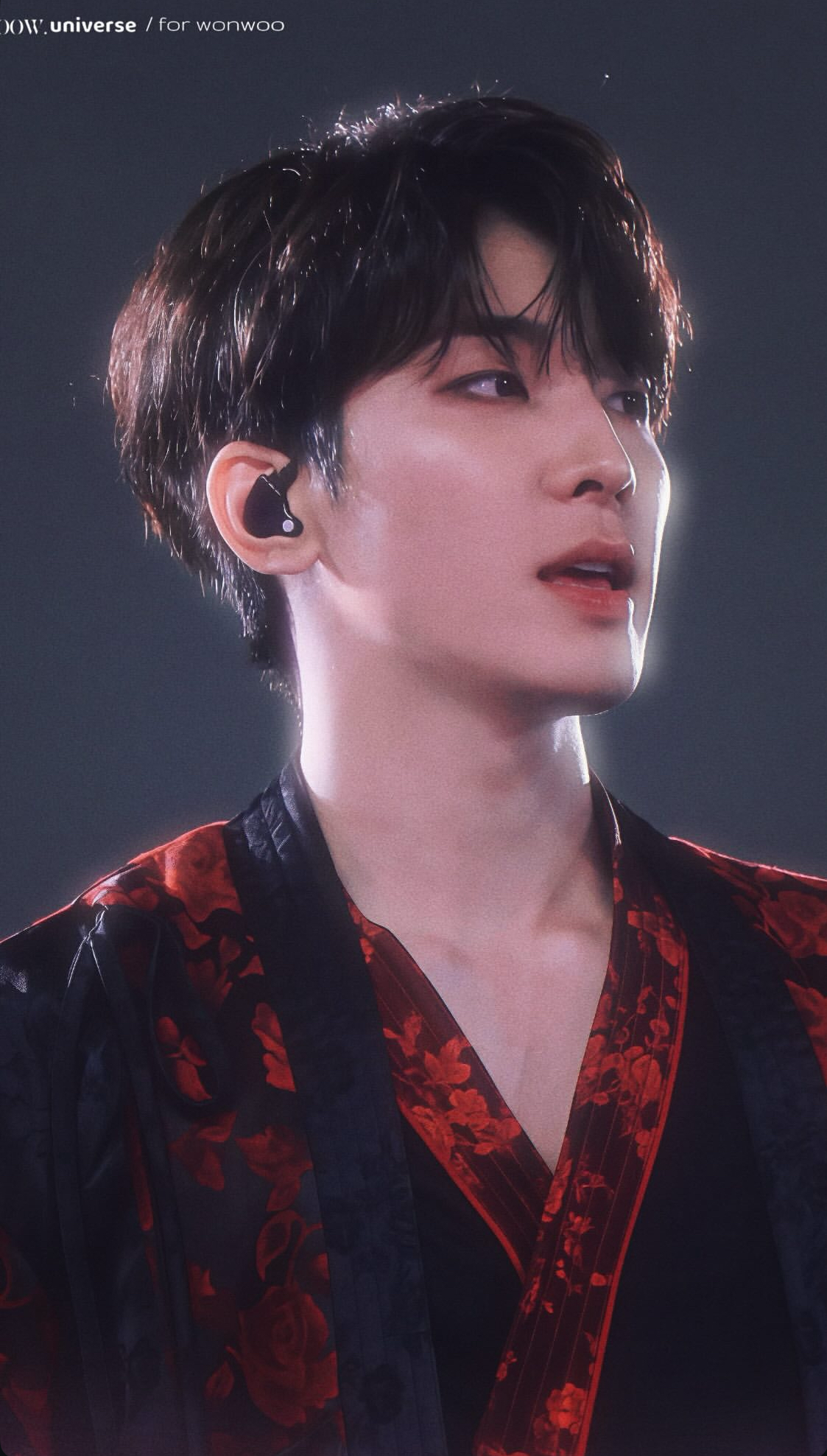 A moment captured by Wonwoo (SEVENTEEN)'s fan