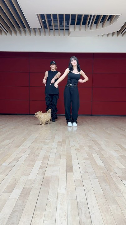 モモ (TWICE)の最近の活動写真