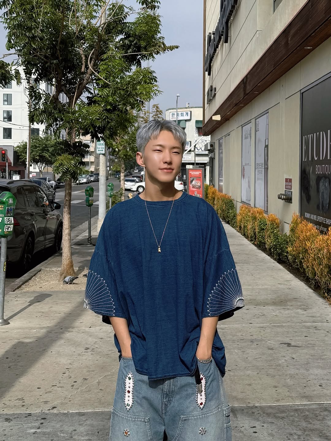 A moment captured by Hoshi (SEVENTEEN)'s fan