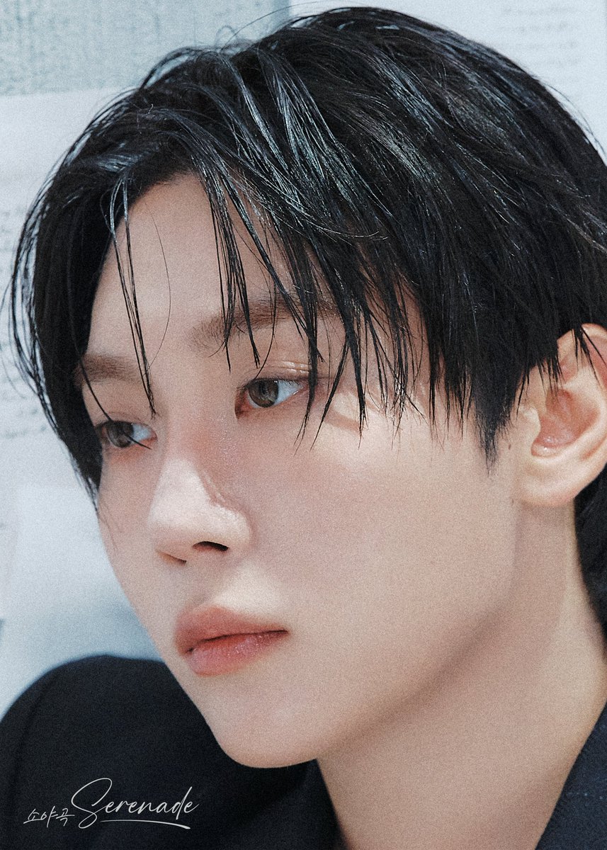 세븐틴 팬이 찍은 순간