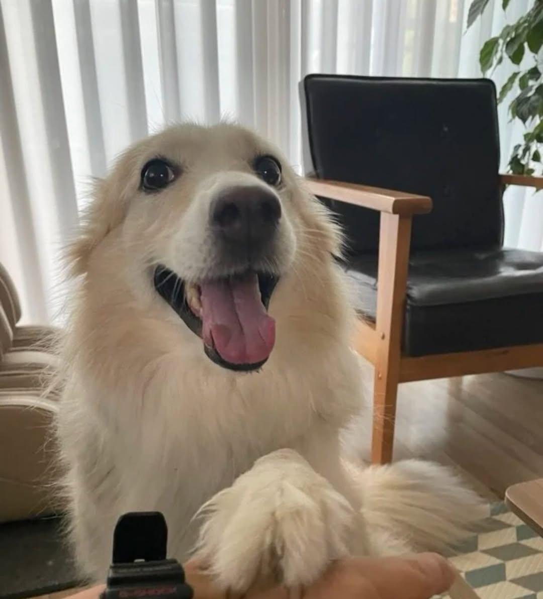 Jake (ENHYPEN)的幕后花絮