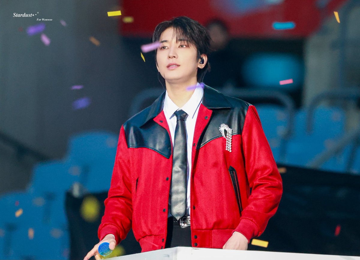 Recent activity shot of Wonwoo (SEVENTEEN)