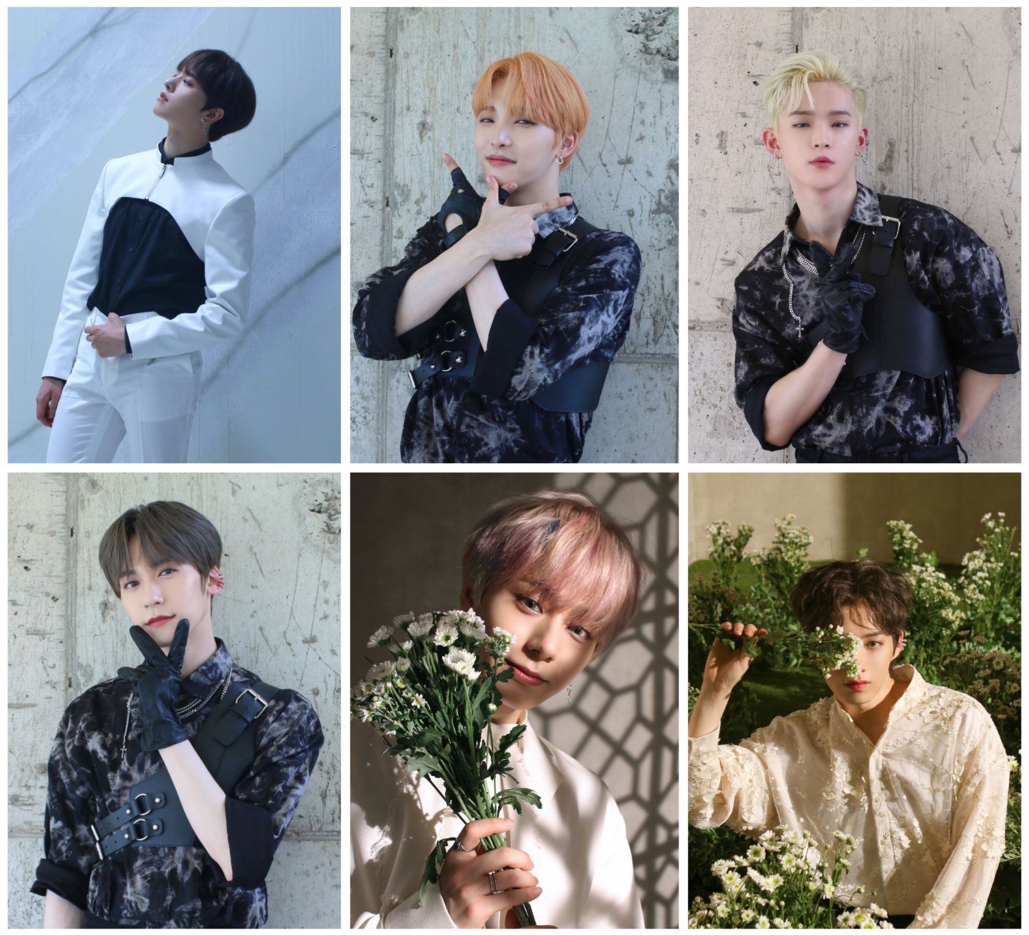 Latest photo of ONEUS