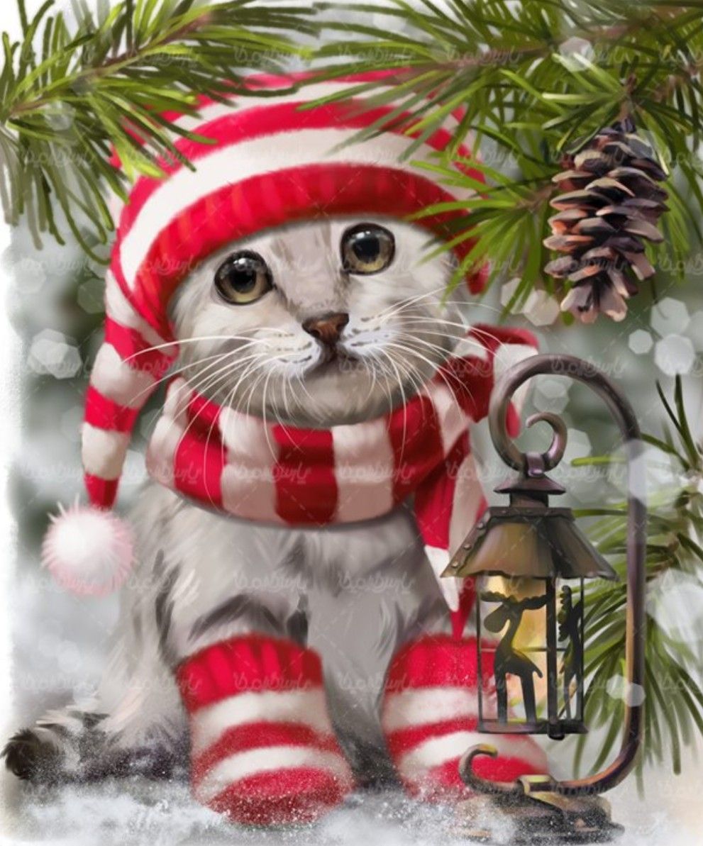 A moment captured by Moonbin (ASTRO)'s fan