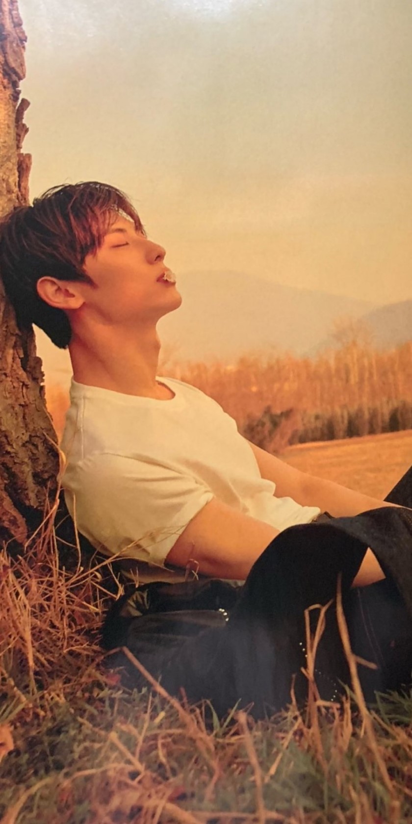 Today's most popular wallpaper in the Hwang Minhyun community