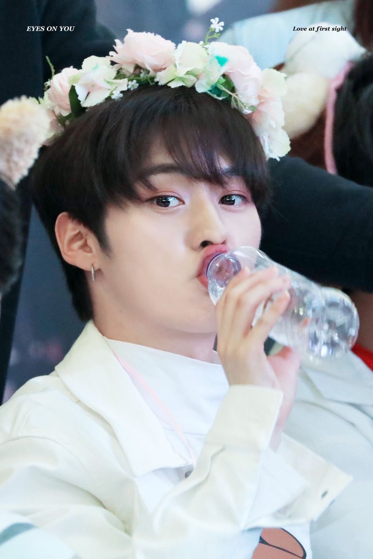 A moment captured by Lee Know (Stray Kids)'s fan