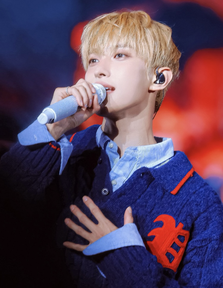 A moment captured by DK (SEVENTEEN)'s fan