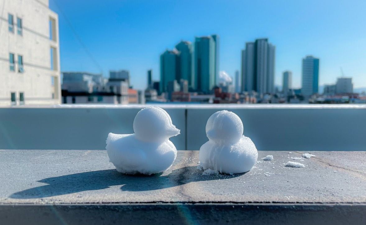 Recent activity shot of ONF