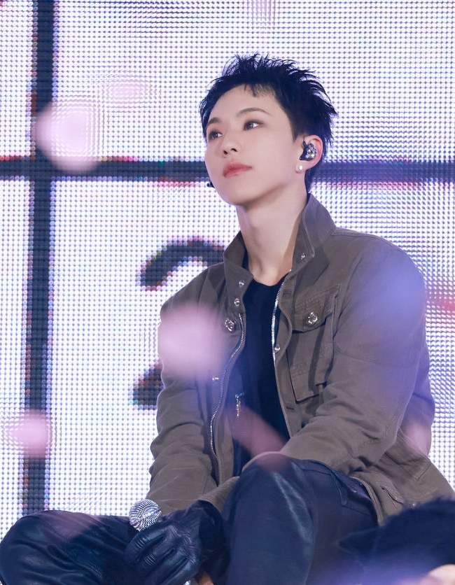 A moment captured by Hoshi (SEVENTEEN)'s fan