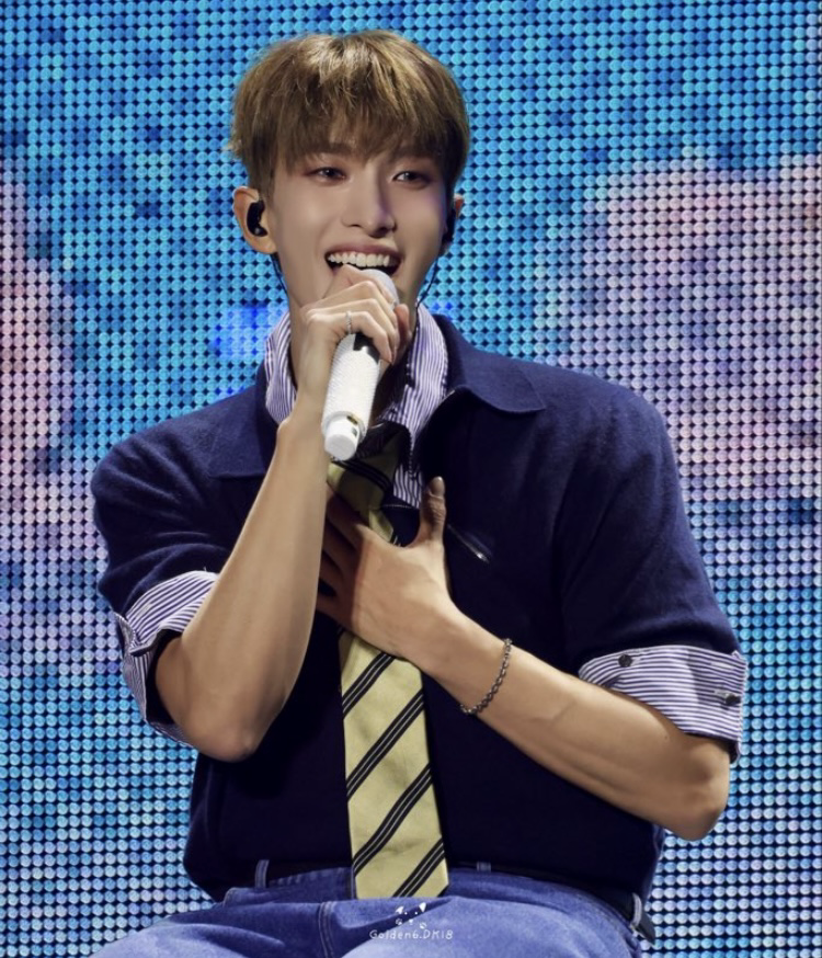A moment captured by DK (SEVENTEEN)'s fan